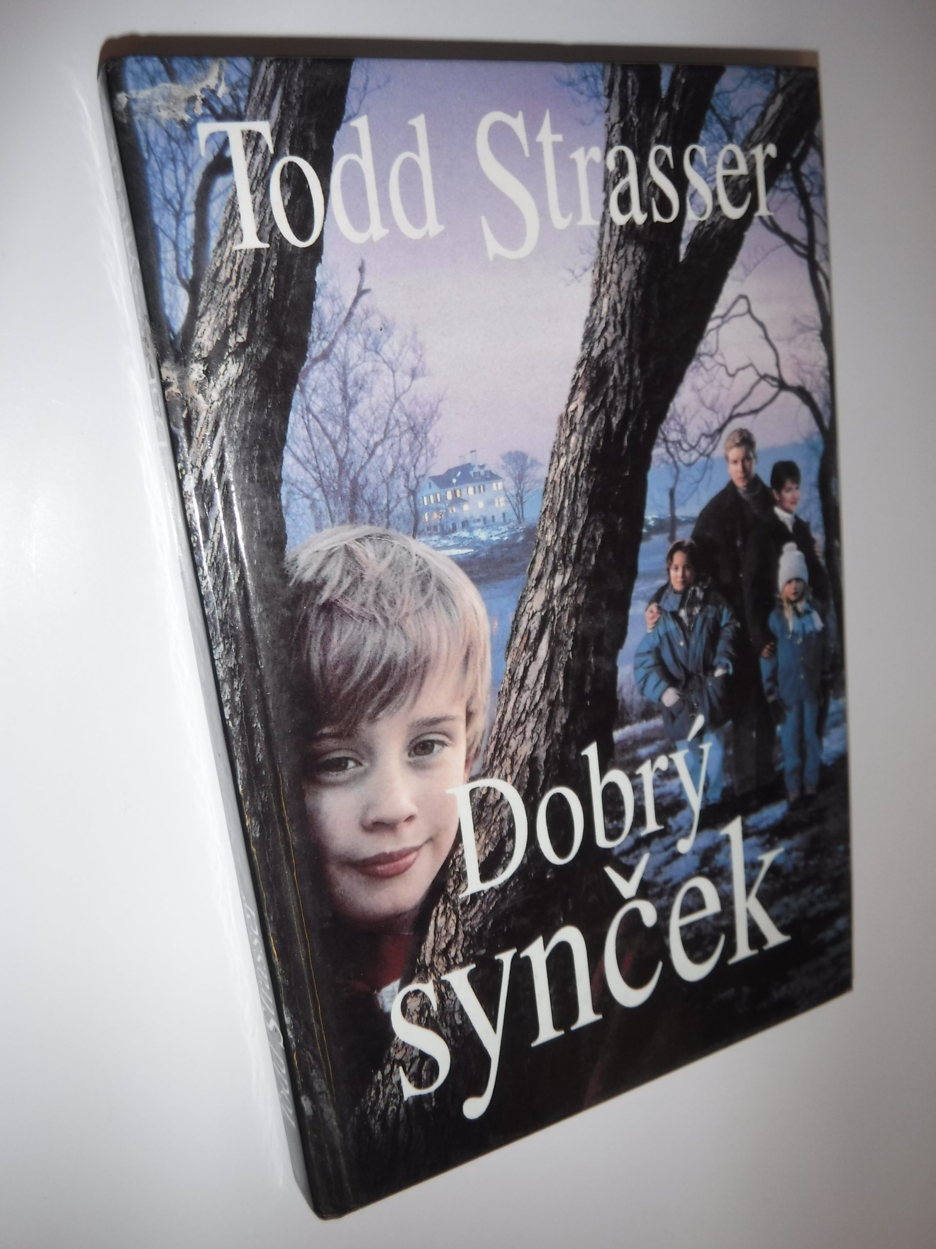 Dobrý synček