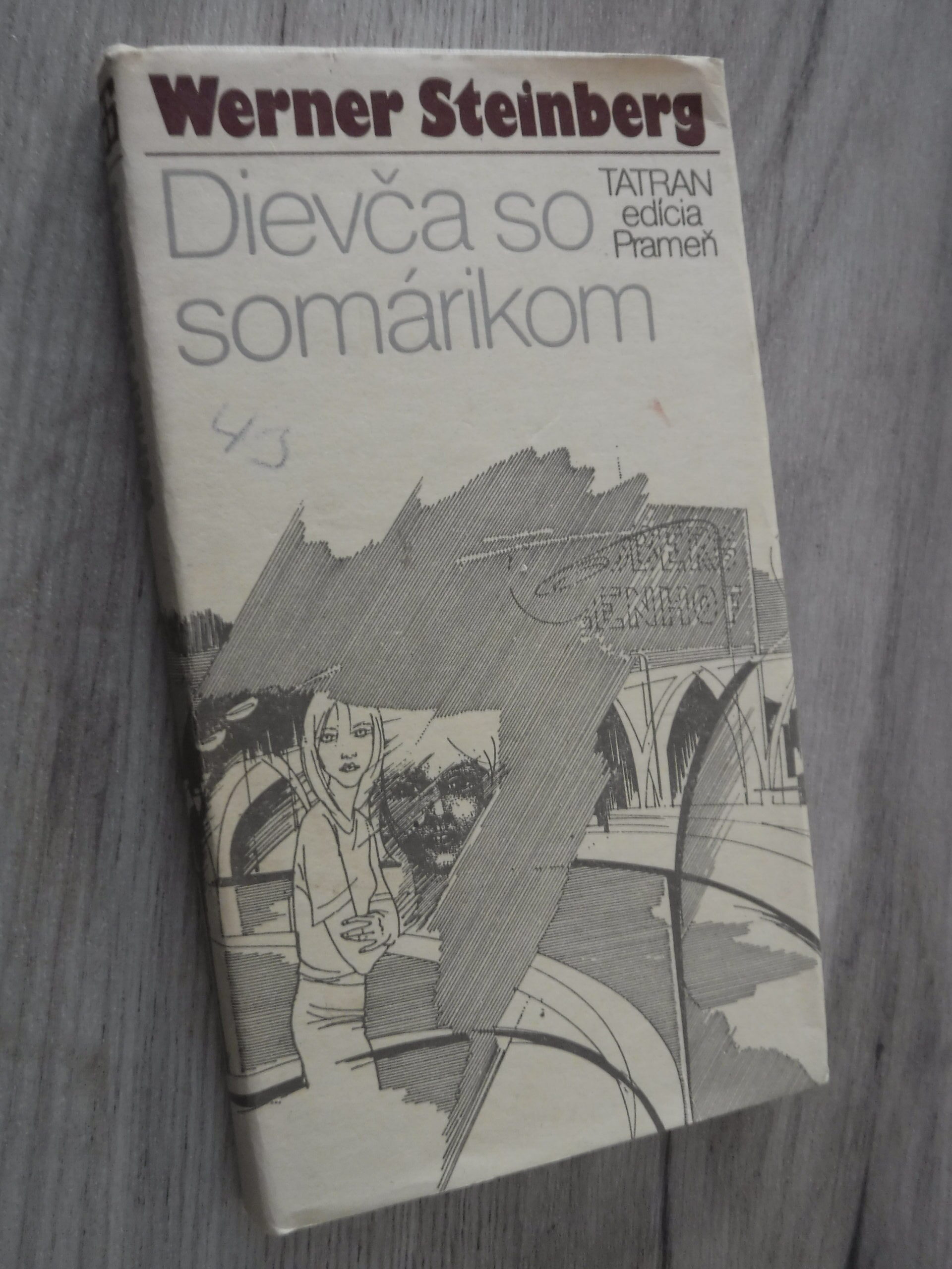 Dievča so somárikom