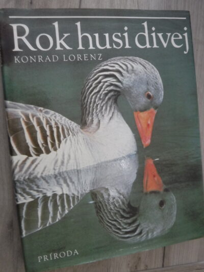 Rok husi divej