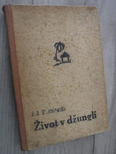Život v džungli