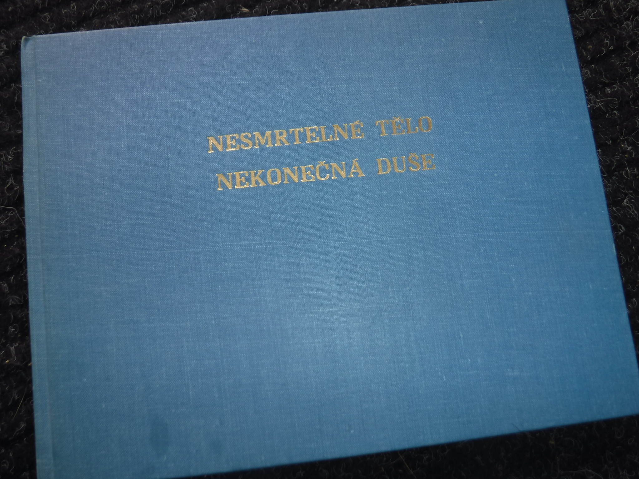 Nesmrtelné tělo, nekonečná duše - Image 2