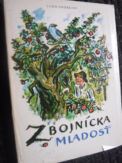 Zbojnícka mladosť
