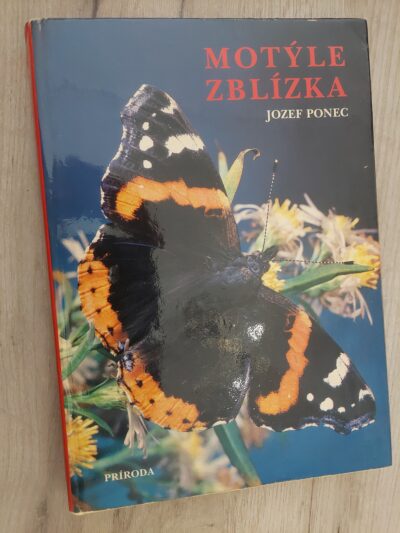 Motýle zblízka